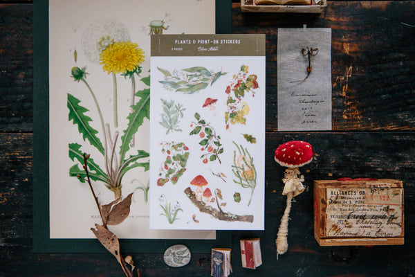 Ours Transfer Sticker Paper, Plants II | 漢克 轉印貼紙, 野地花禮II