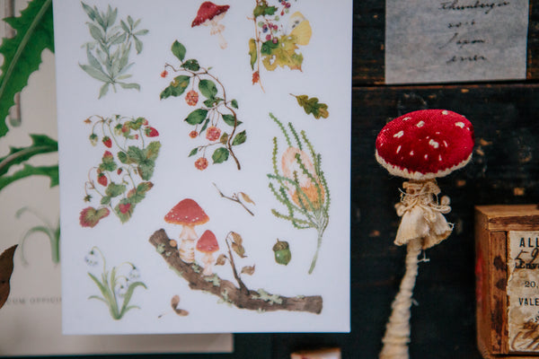 Ours Transfer Sticker Paper, Plants II | 漢克 轉印貼紙, 野地花禮II