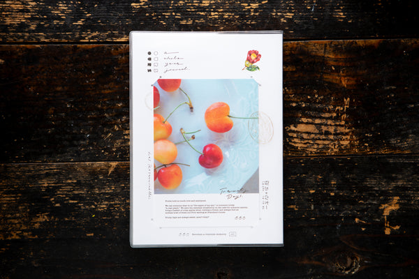[Pre-Order] Ours 2027 Research Project Journal - The Reunion