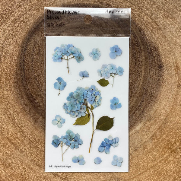 Appree Pressed Flower Sticker, Blue