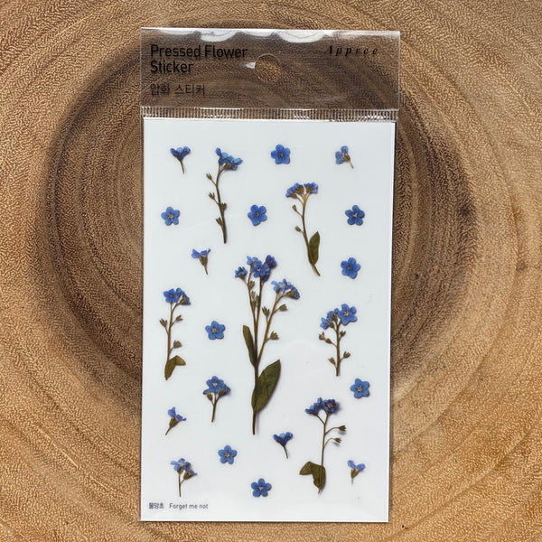 Appree Pressed Flower Sticker, Blue