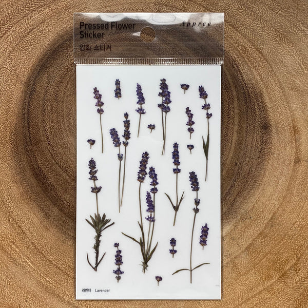 Appree Pressed Flower Sticker, Purple