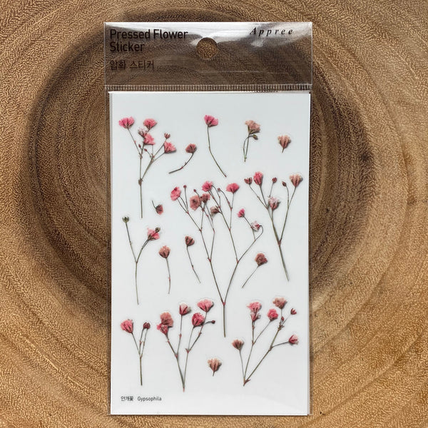 Appree Pressed Flower Sticker, Rouge