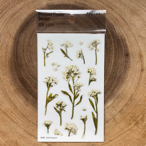 Appree Pressed Flower Sticker, White