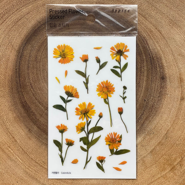 Appree Pressed Flower Sticker, Yellow