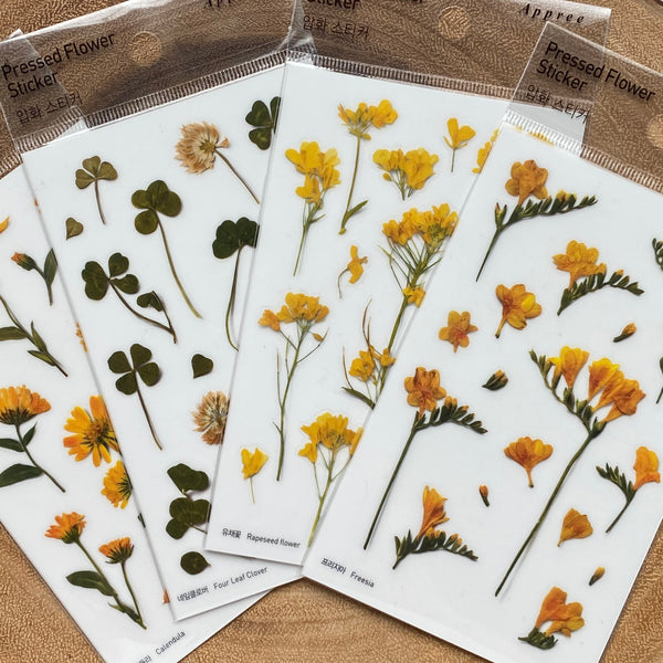 Appree Pressed Flower Sticker, Yellow