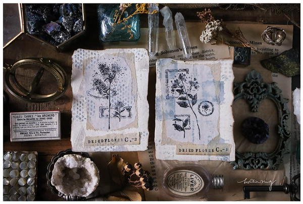 Lin Chia Ning Rubber Stamp Set, Dried Flower C | 吉 橡皮印章組, 乾燥花 C