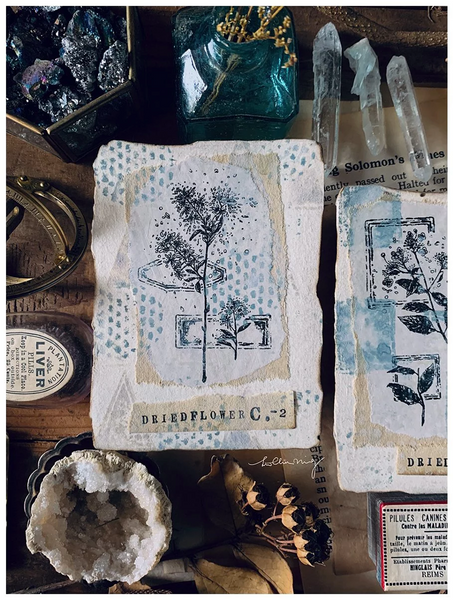 Lin Chia Ning Rubber Stamp Set, Dried Flower C | 吉 橡皮印章組, 乾燥花 C