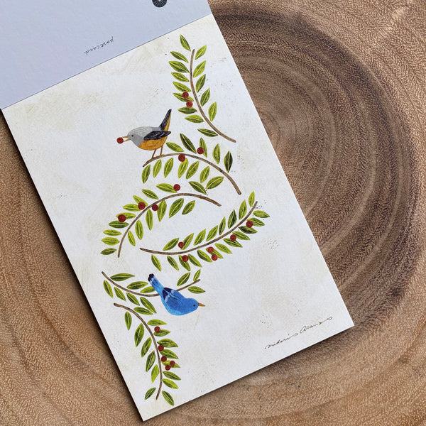 Midori Asano Postcard Book, Plants | 淺野綠明信片本