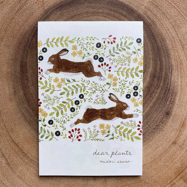 Midori Asano Postcard Book, Plants | 淺野綠明信片本