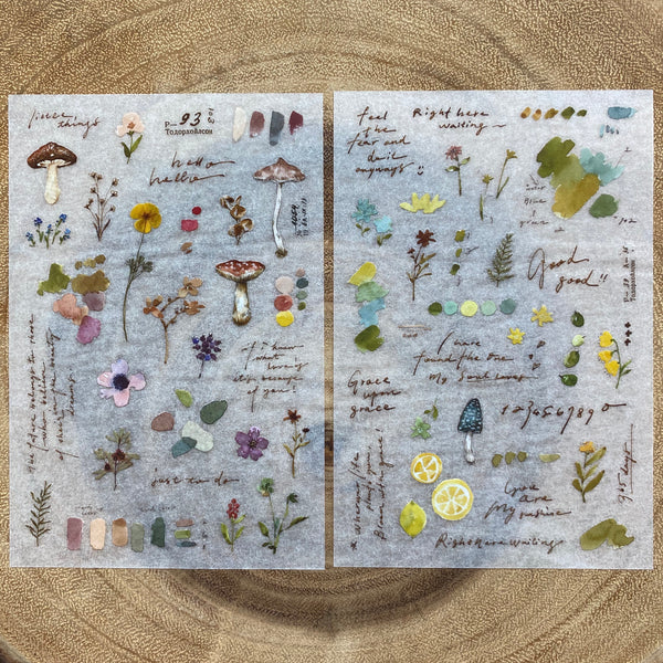 Pion Print-On Transfer Sticker | Pion 轉印貼紙