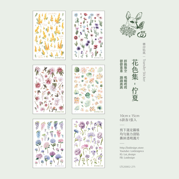 Loidesign Print-On Transfer Sticker Set, Summer | 樂意轉印貼紙包, 佇夏