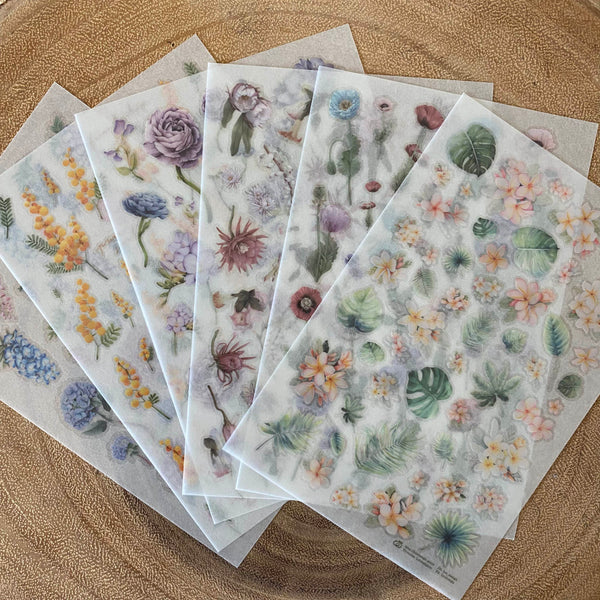 Loidesign Print-On Transfer Sticker Set, Summer | 樂意轉印貼紙包, 佇夏