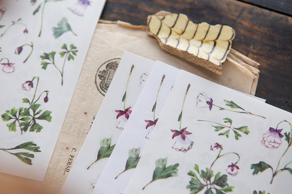 Ours Sticker Pack, Daily Florist Series, Aquilegias | 漢克 x 庫巴貼紙包 日常花房系列, 苧環