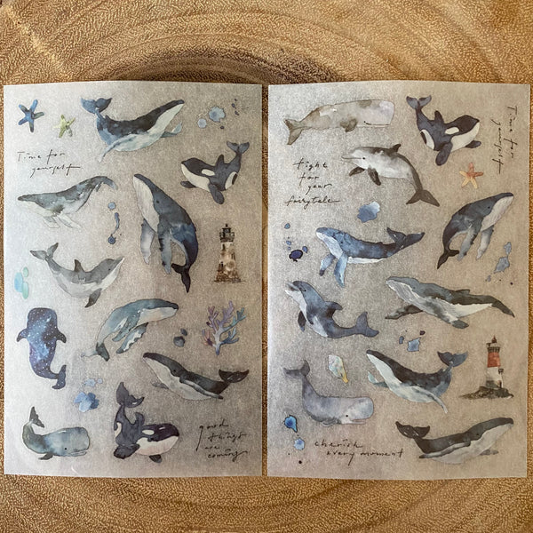 Pion Print-On Transfer Sticker, Whale | Pion 轉印貼紙, 鯨魚