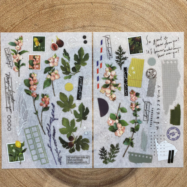 Somesortof.fern Print-On Transfer Sticker, The Fruitful | 羊君轉印貼紙, 蒔果