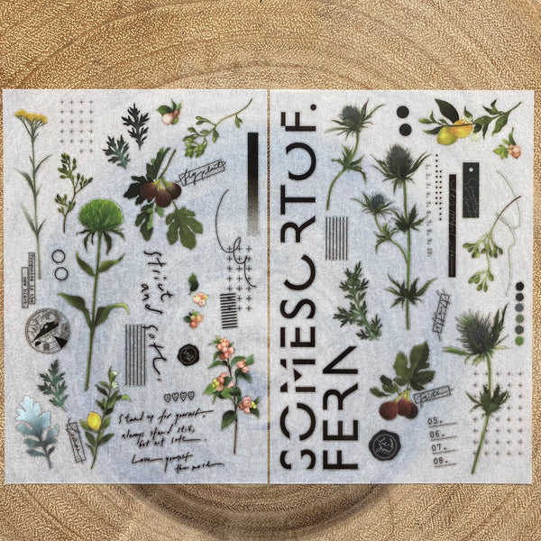 Somesortof.fern Print-On Transfer Sticker, Thistles & Fruits | 羊君轉印貼紙, 薊與果