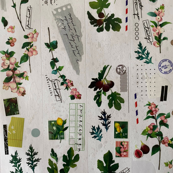 Somesortof.fern PET Tape, The Fruitful | 羊君PET膠帶, 蒔果序