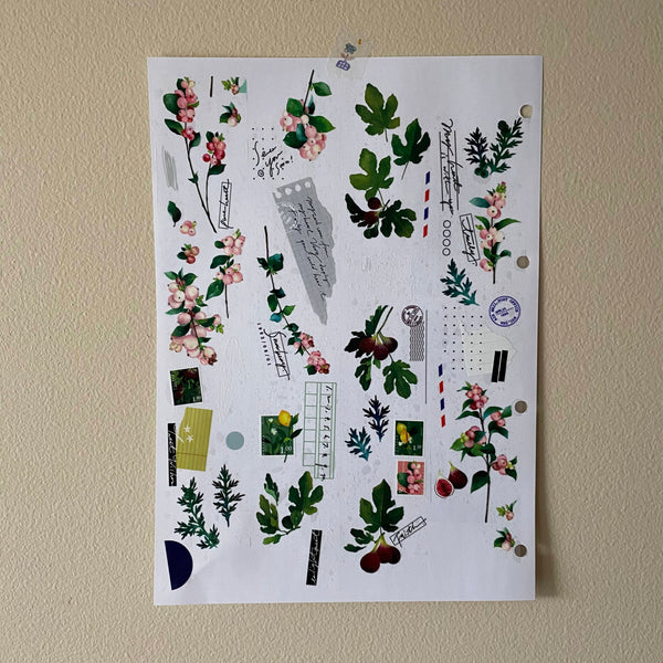 Somesortof.fern PET Tape, The Fruitful | 羊君PET膠帶, 蒔果序